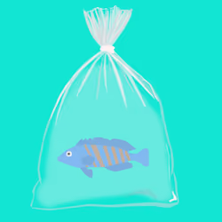 Feesh #2265 "bbYagami"