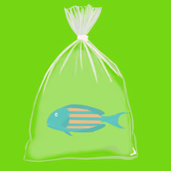 Feesh #1780 "Ringo"