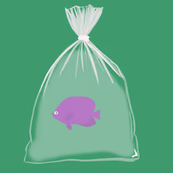 Feesh #2656