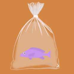 Feesh #662 "Blub"