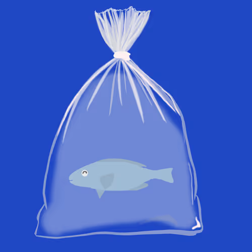 Feesh #3288 "GeneralH"