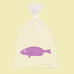 Feesh #1990