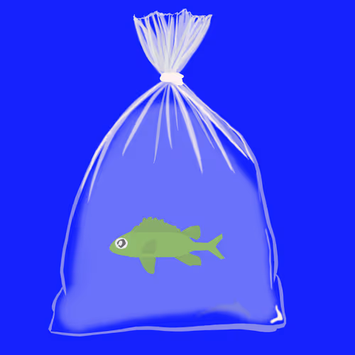 Item #71 Media