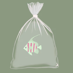 Feesh #556