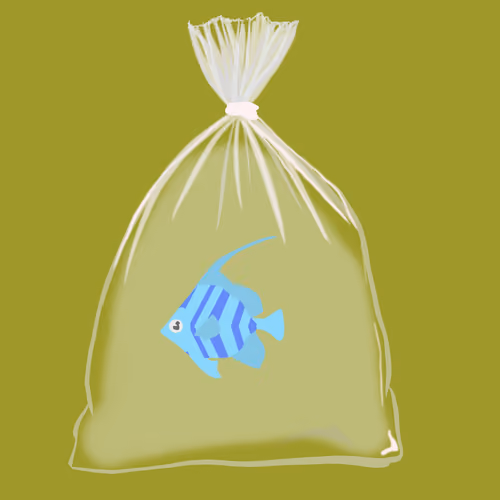 Feesh #3172