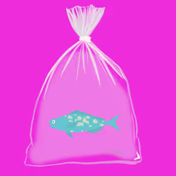 Feesh #2023