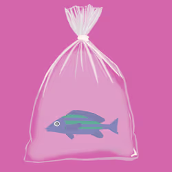 Feesh #1180