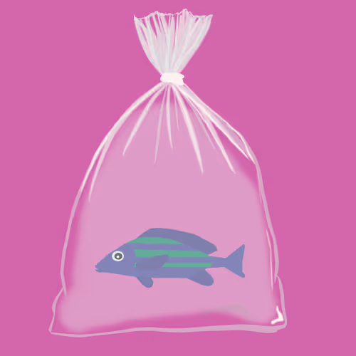 Feesh #1180