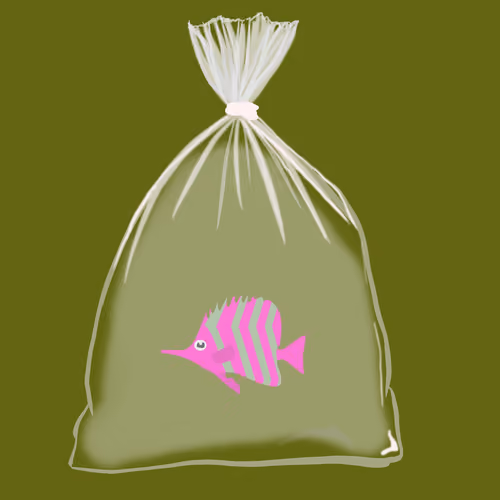 Feesh #728 "Sebas jr"