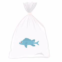 Feesh #106
