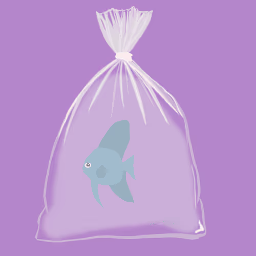 Feesh #1451