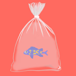 Feesh #2863