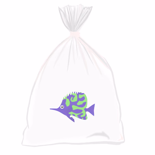 Feesh #3021 "Feeshy"