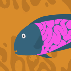 Feesh #3695 "Double G"