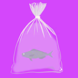 Feesh #2257