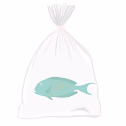 Feesh #1704
