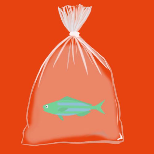 Feesh #2009