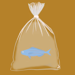 Feesh #1541 "Drewbie "