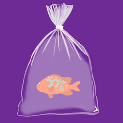 Feesh #1731