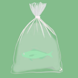 Feesh #1350