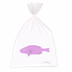 Feesh #1217