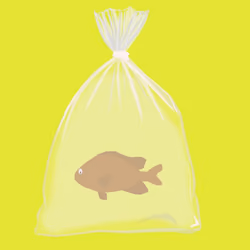Feesh #4038