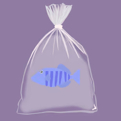 Feesh #1639