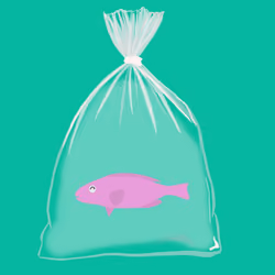 Feesh #1297
