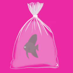 Feesh #1854 "AstonMartin"