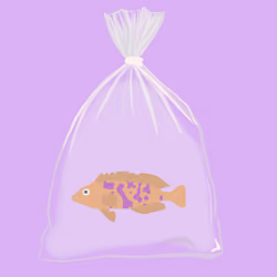Feesh #3136