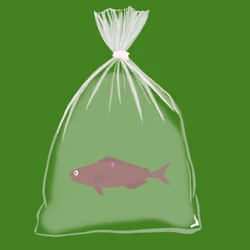 Feesh #3278