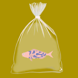 Feesh #1184 "Floaty"