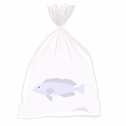 Feesh #356
