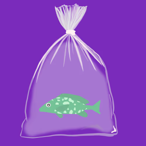 Feesh #2200