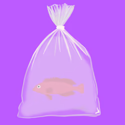 Feesh #3838