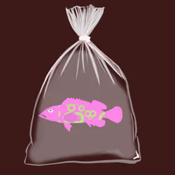 Feesh #2258