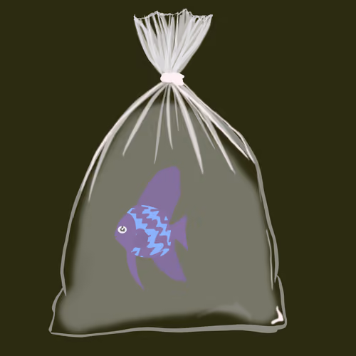 Feesh #180 "Maple"
