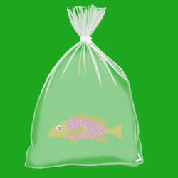Feesh #3842
