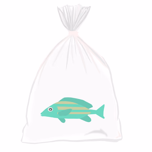 Feesh #552