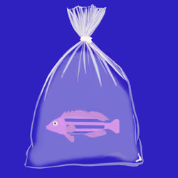 Feesh #3190 "James Pond"