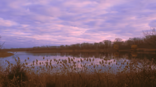 DREAM WORLD - CF8twdJ2JY