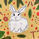cute rabbit V2