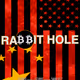 Rabbit Hole Posters