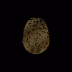 ID-X #1989