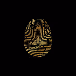 ID-X #2060