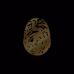 ID-X #2066
