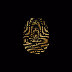 ID-X #2375