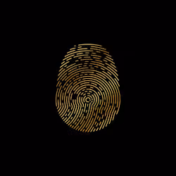 ID-X #1516