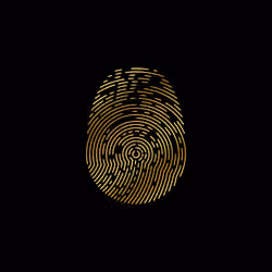 ID-X #653