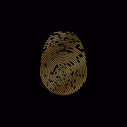 ID-X #1981